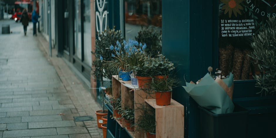 A display of potted flowers arranged on wooden shelves outside a flower shop along a paved sidewalk in Blackheath. The arrangement includes various flowering plants such as blue hyacinths, green folia