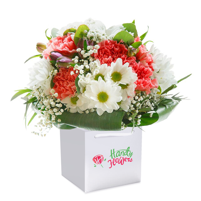 Within a contemporary, geometric white gift bag sits an impressively full and artful bouquet-a tribute to Blackheath's renowned floral charm and sense of place. The display is centred around plush coral-pink carnations, easily identified by their abundant ruffled petals, mingling with scarlet-hued cousins to build depth and richness. Bright white daisies, each with a sparkling lime-green centre, cluster between the ruffles, lending spirited contrast and visual harmony reminiscent of the well-kept blooms around Blackheath Village. Wisps of baby's breath-delicate, airy and gentle-are woven between the primary flowers, adding dimension and texture not unlike the soft morning mist that settles along the open expanse of Blackheath. Delicate buds tinged with lavender are artfully tucked on the bouquet's left, hinting at future blooms. An encircling collar of dark, shiny foliage wraps the entire arrangement, with wide, lustrous leaves providing structure, colour, and a sense of completion. The white gift bag itself is thoughtfully designed, with thick, neat ribbon handles for practical delivery or a celebratory hand-off in Cresswell Park. Bathed in bright, natural light and set against a flawless white background, each element-hue, form, freshness-stands out as if captured in a botanical portrait. Perfect for celebrating milestones, expressing heartfelt wishes, or simply marking an ordinary day with extraordinary flowers, this bouquet reflects Blackheath's cherished tradition of elegance and care.