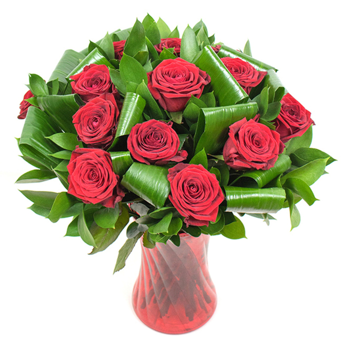 A beautifully composed bouquet of roughly twelve or more deep crimson roses occupies the scene, each bloom opening fully to reveal tightly layered, velvety petals that radiate a saturated, romantic red. The roses are arranged in a compact, rounded mass, their heads close enough to read as one lush form, yet individually distinct as light grazes each curve and reveals the soft texture and subtle veins of the petals. Surrounding and supporting the blossoms is an abundant sweep of dark green foliage: glossy, narrow leaves-suggestive of ruscus or salal-provide a dense backdrop while larger, glossy green leaves have been rolled and artfully folded into sculptural loops that cradle the flowers and introduce a chic, architectural contrast. These folded leaves lend depth and controlled drama, balancing the classic sentiment of the roses with contemporary design. The bouquet is presented in a tall, slender red glass vase, its ruby translucence interrupted by a faint spiral or ribbing that captures highlights and deepens shadow, creating elegant vertical lines that complement the roundness of the blooms. The arrangement is photographed against a crisp white field so that the saturated reds and rich greens read vividly, evoking feelings of passionate love, refined luxury, and calm intention. Locally, this is the kind of arrangement often seen on fireplaces or dining tables in homes around Blackheath Village and makes a thoughtful anniversary or Valentine's gift for someone who knows the neighbourhood's quiet, leafy charm.